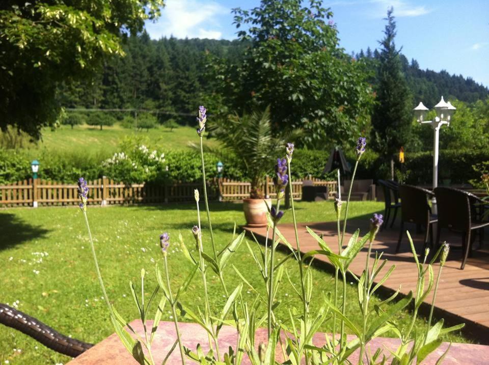 Landgasthof Hirsch Baden-Baden Ngoại thất bức ảnh